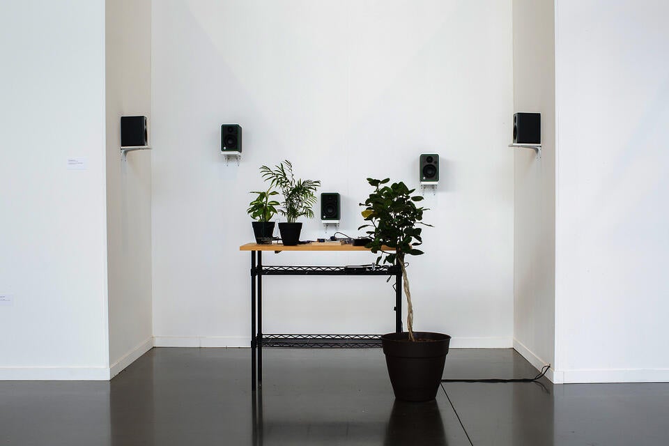 A wireframe table containing an assortment of objects and plants with a potted tree placed in front of it. In the background there are five plain, black, rectangular speakers mounted on a white wall at varied heights.