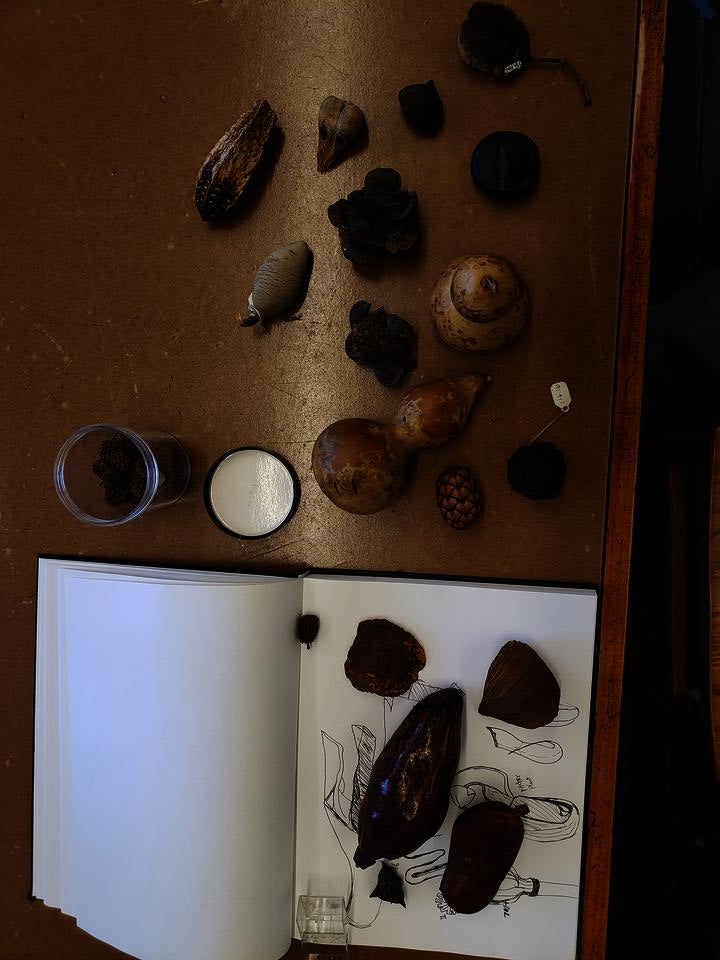 natureforms
