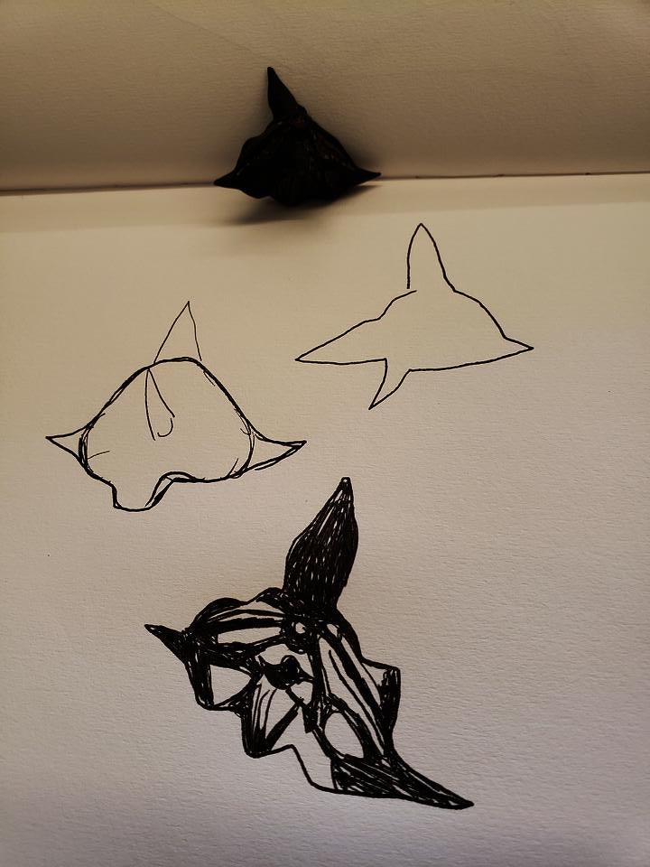 natureforms