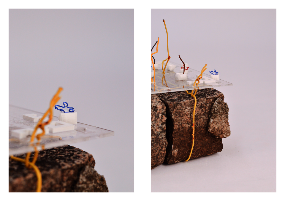 ASSEMBLAGE