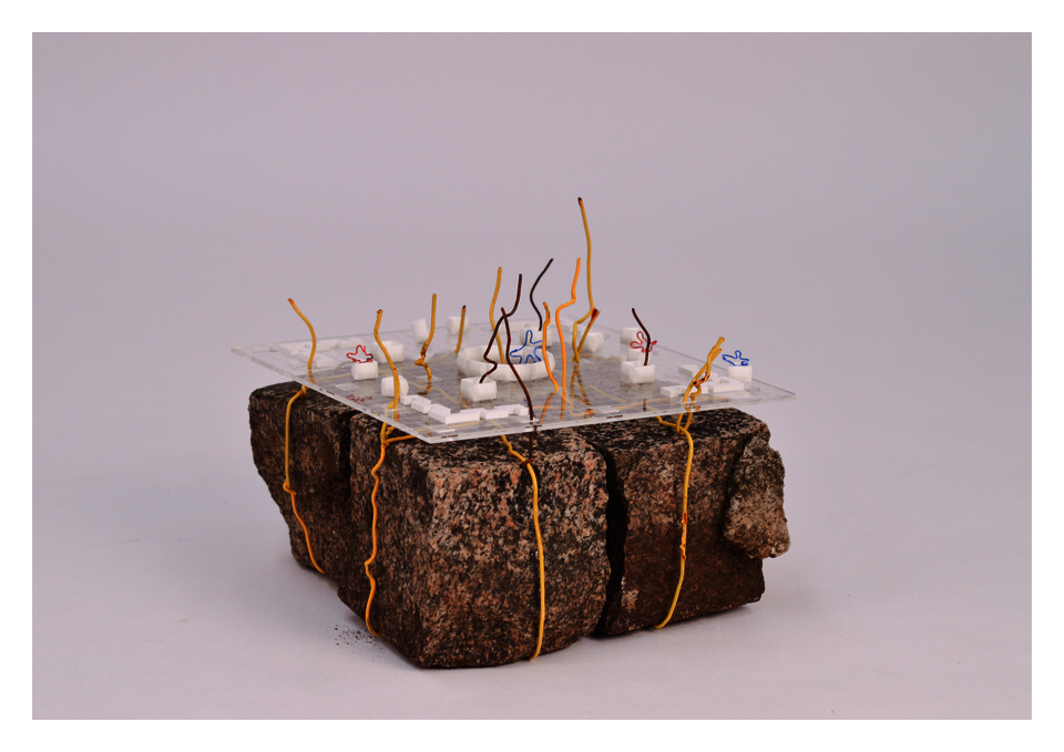 ASSEMBLAGE