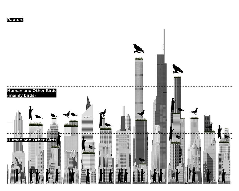 A System Based on Height
