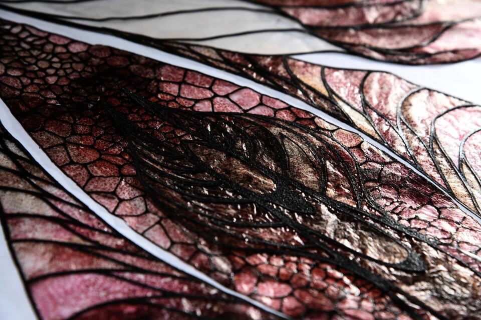 detail shot