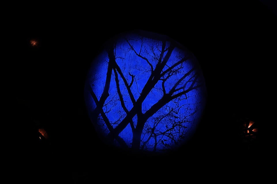 interior projection