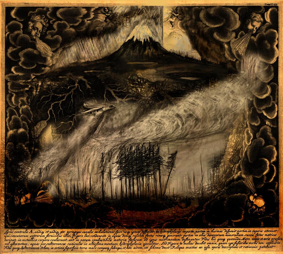 collage of fire ecology