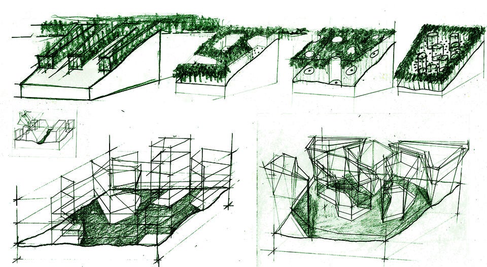 silviculture diagrams
