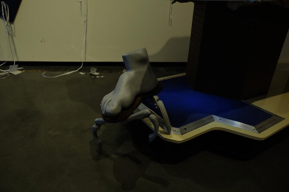 Carpet Walker