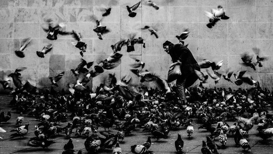 Photo: Alexandre Chambon on Unsplash