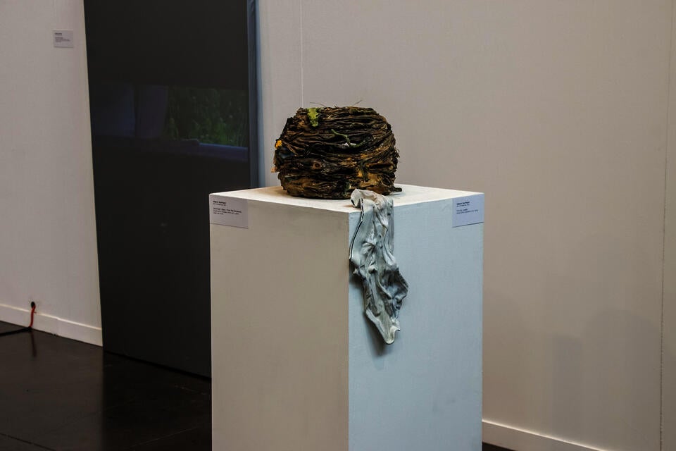 Installation view of ceramic nest from performance with clay male underwear.