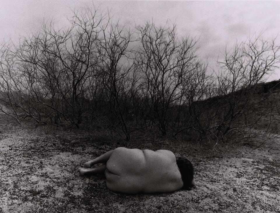 Black and white photo showing the back of a fat nude person curled up on their right side. They are outdoors, in a stark landscape of leafless trees.