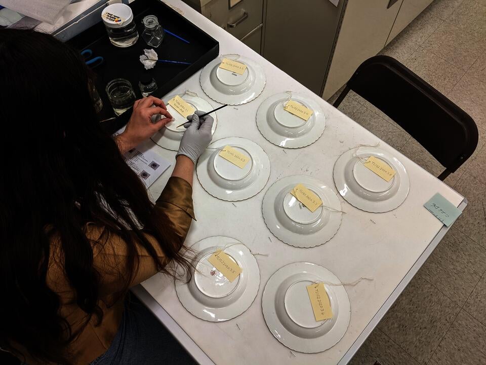 Looking over the shoulder of a young person working at a table. They are labeling white ceramic dishes.