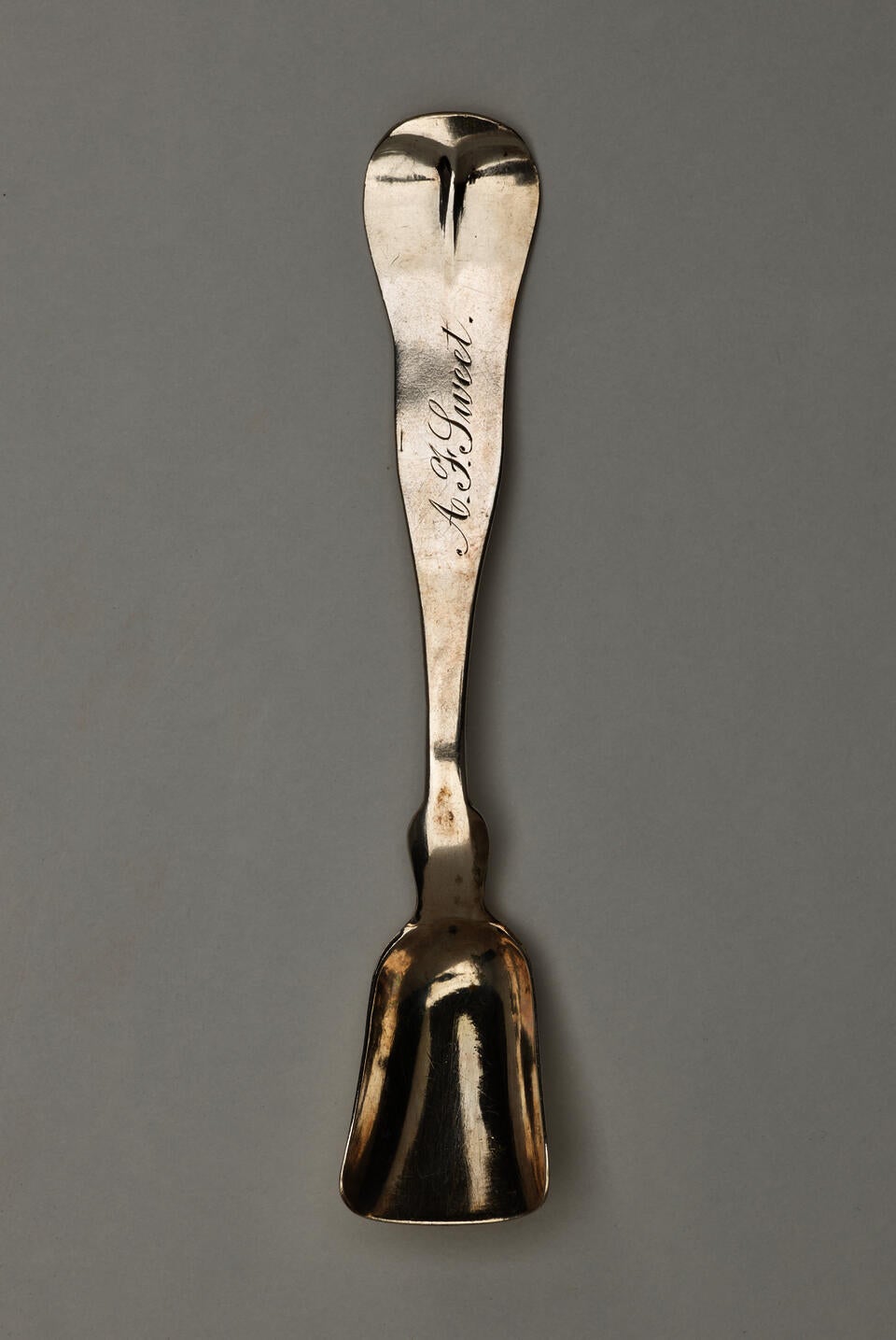 A silver salt spoon with a bowl that comes to a blunt flat tip and a neck that starts out thinner and goes to a thicker rounded handle.