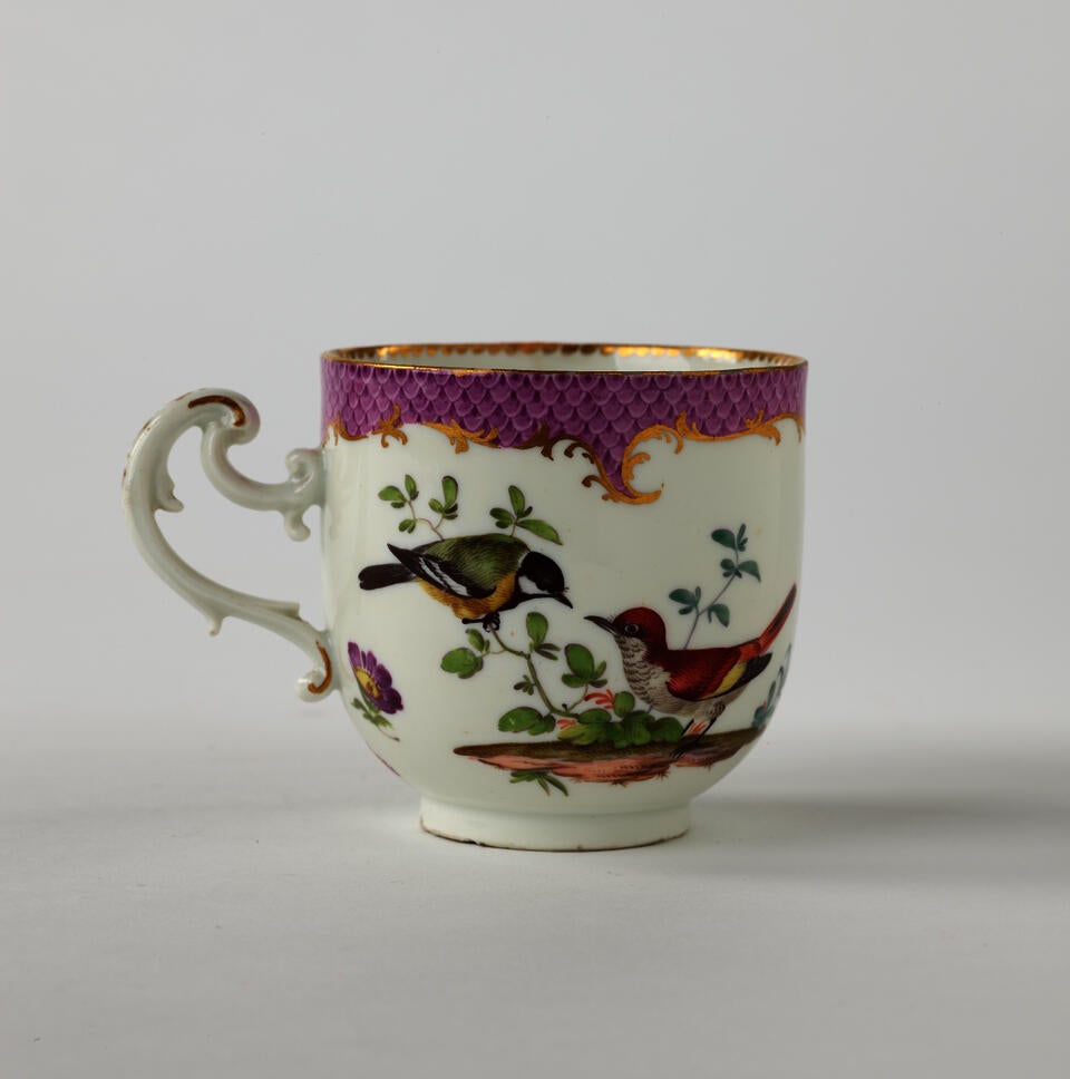A white teacup with a handle that has swirls, gilding, pink, and floral decorations. There are two birds, one gray and yellow, the other is larger and mainly red.