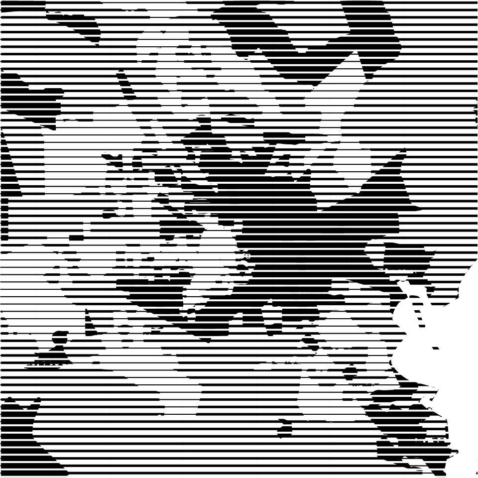 Series of Horizontal lines that changes in thicknesses that draws out the region of social scarcity, wealth disparity, and its correlation with energy insecurity.