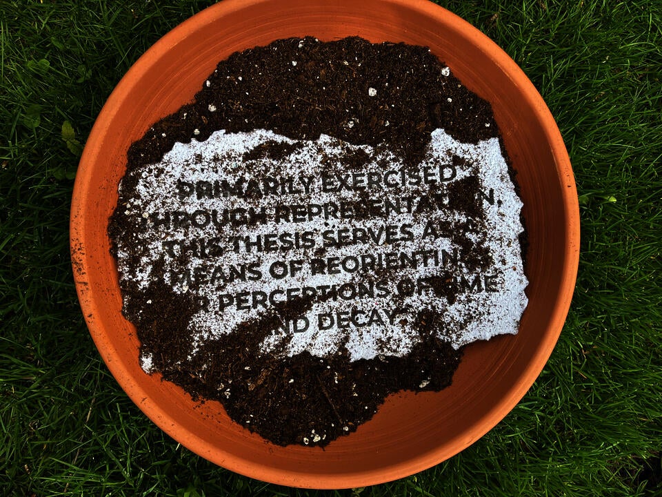 Paper with thesis statement planted in a planter