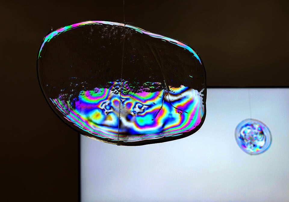 Detailed photo of the 'Hidden Colors'