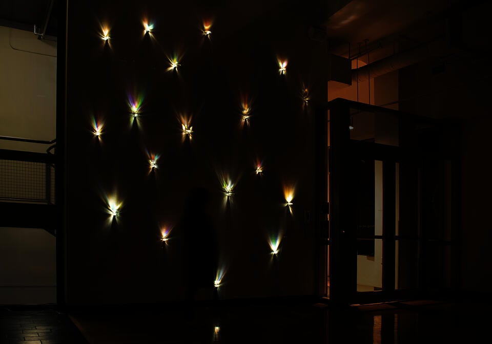 Installation photo of the 'Stressed Flowers'