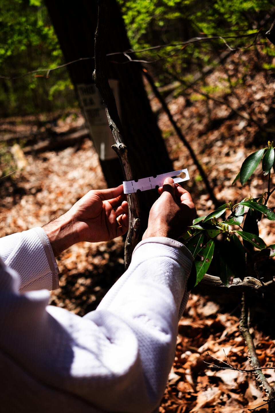 Identifying the willingness of self-selectors to participate in hanging tags.
