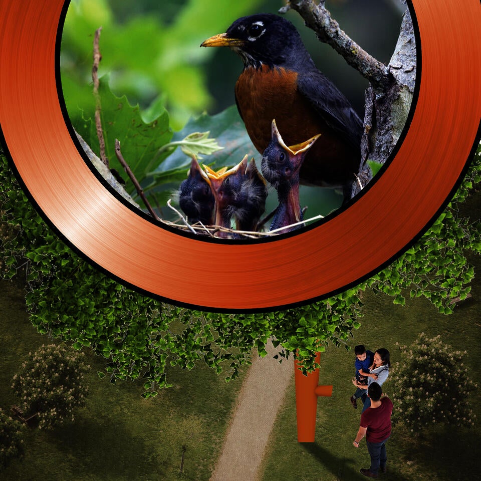 a bird's eye view of a family looking into a periscope to see a robin and its nest full of chicks.