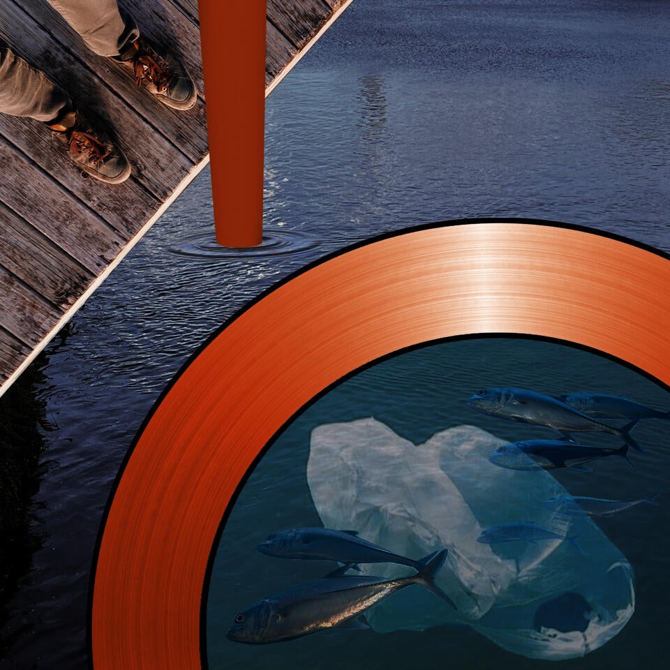 a collage showing an underwater periscope with a view of fishes and plastic litter