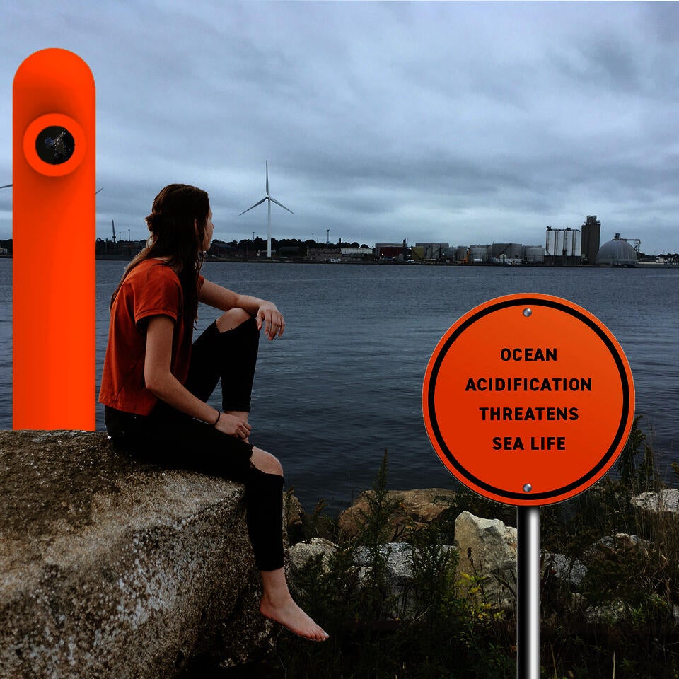 collage showing a woman looking across the river at oil tanks and industrial waterfront. a sign announces that ocean acidification threatens sea life.