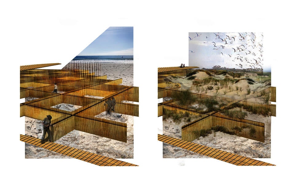 Before and after collages show a flat eroded beach transformed into a dune ecosystem through dune fencing placed strategically to capture wind and wave action