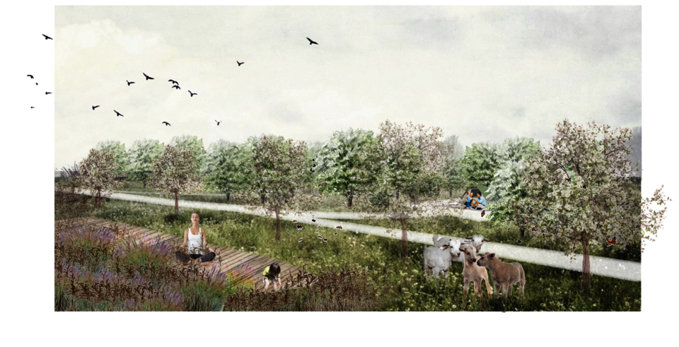 People enjoy camping while surrounded by fruit trees and hedgerows.