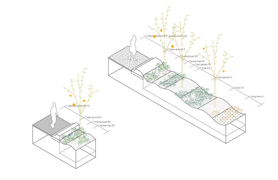 Design ideas regarding Curb, Topology, Plants and Pavement.
