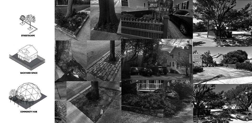 In a typical urban neighborhood in the US, residential buildings are usually next to each other and leave the appliable open space very limited. This project identified three most common and neglected open space: streetscape, backyards and community hubs as opportunities for soil to be connected again to each other.