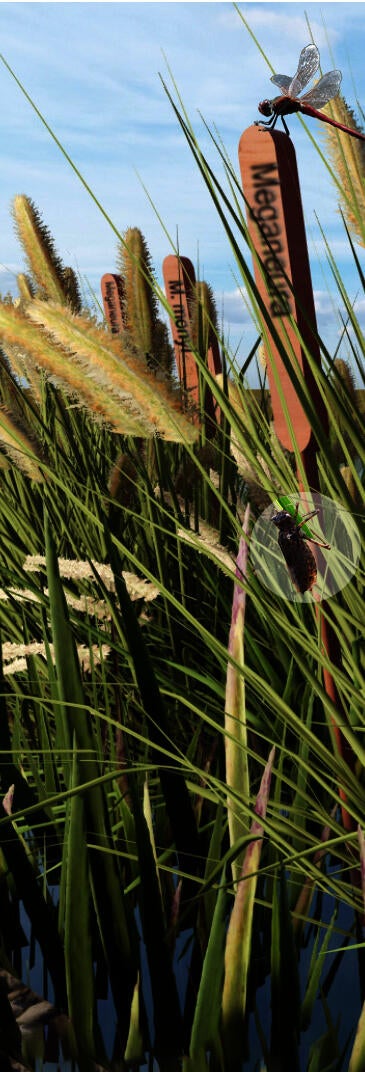 An educational installation that lists species of dragonflies that have gone extinct to help raise awareness about biodiversity loss