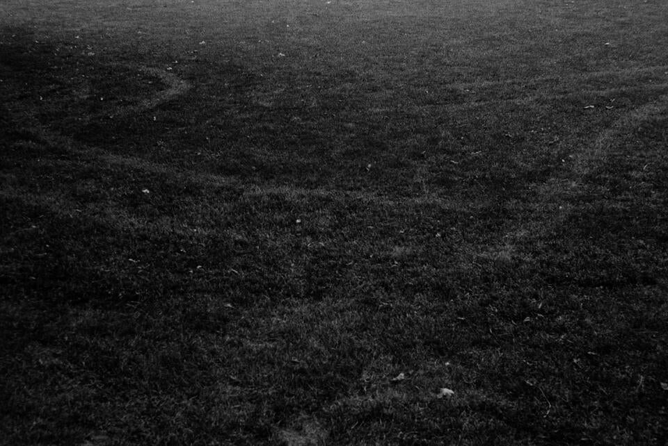 winding looping lines left behind in the grass