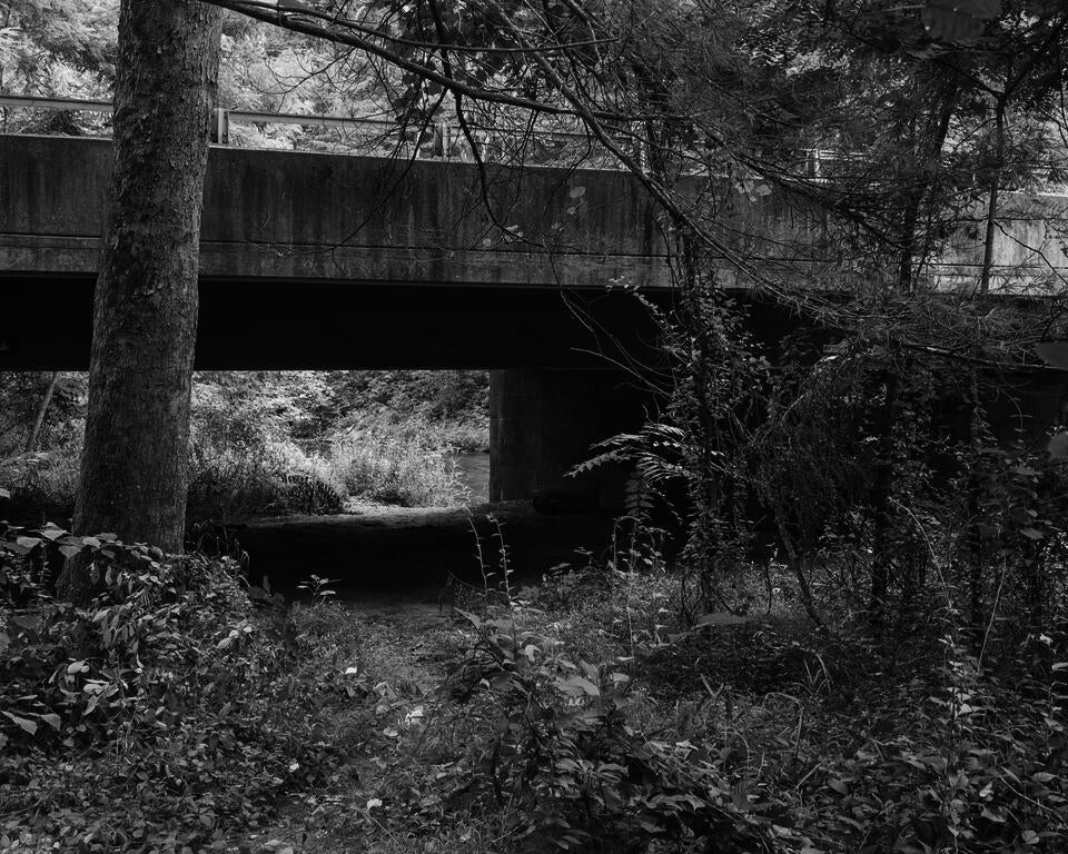 The view of a bushy clearing under a small bridge.
