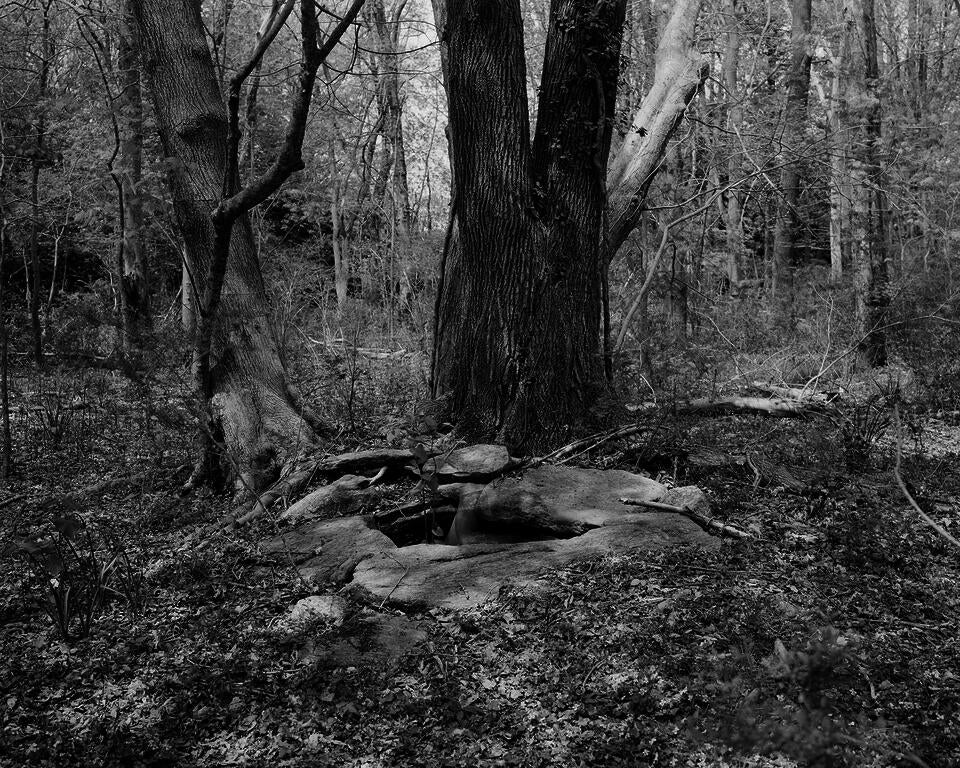 Grey scale photograph of a woodland landscape, double exposed figure in the middle. 
