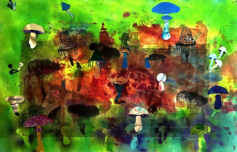 An hommage to Maria Sabina, the gran Zapotec Psilocybin Mother
