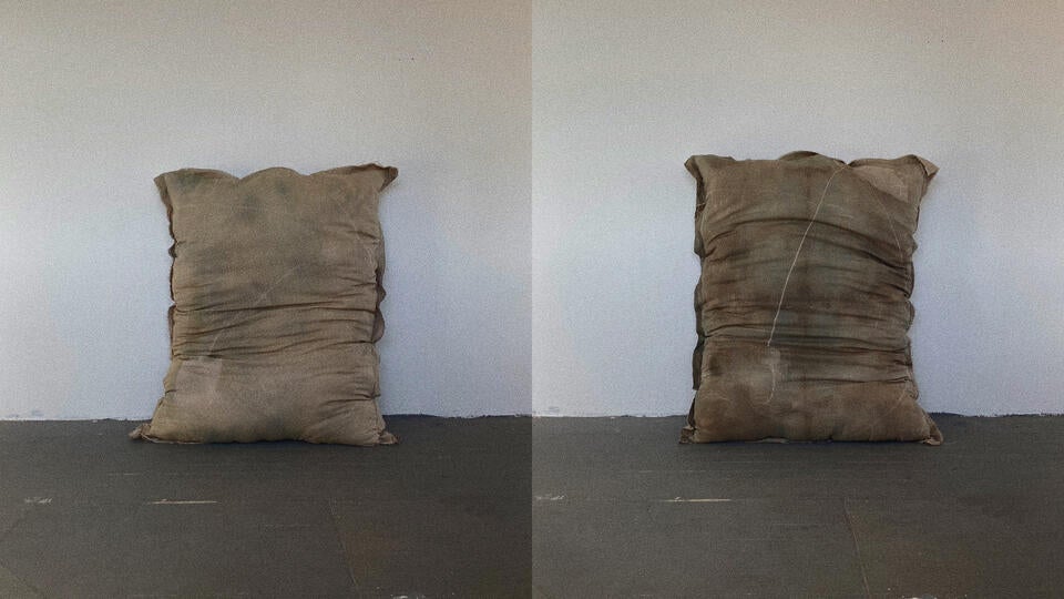 Two pillow side by side with front and back avocado imagery.