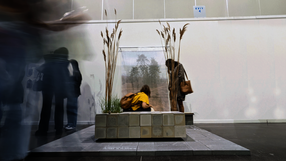 Audience engaging with the installation