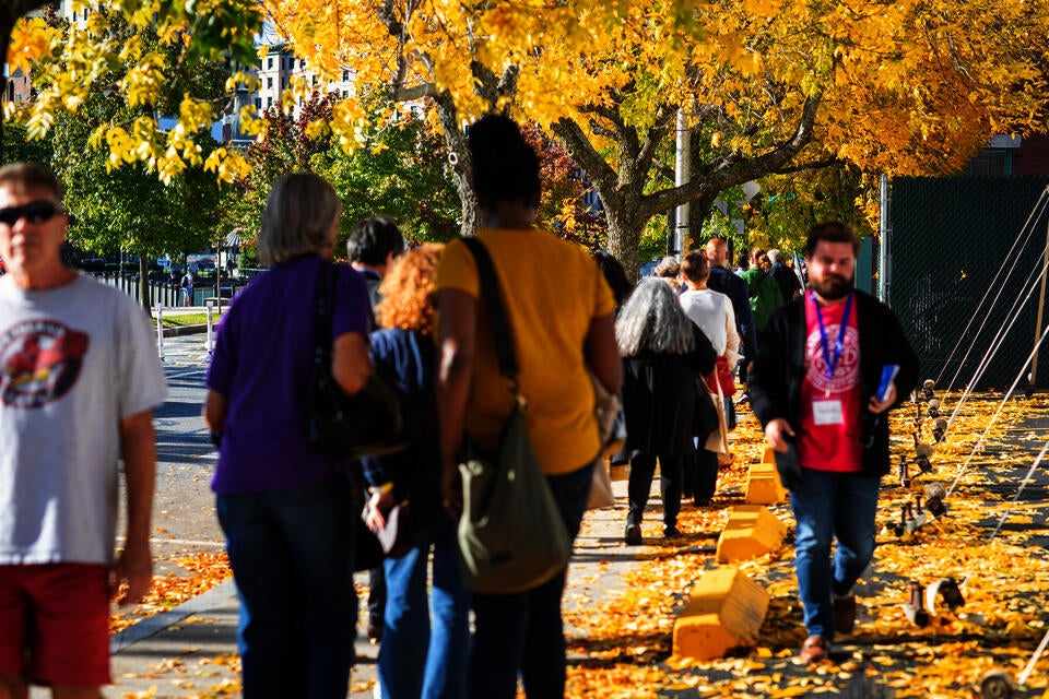 Crowds of people walk down a tree-lined sidewalk. The trees are full of bright yellow leaves.