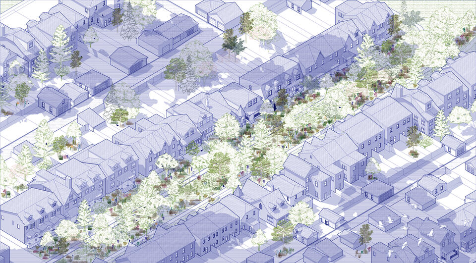 Figure 02: Residential Toronto Neighborhood Rewilded  