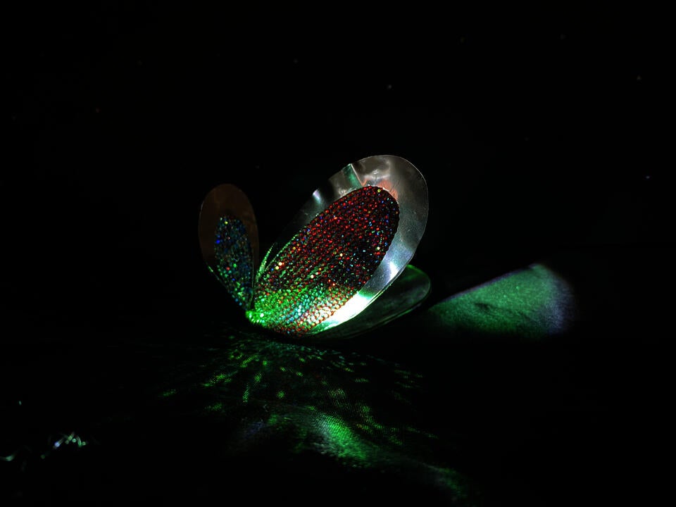 Light refracting from the rhinestones and mylar that the butterfly is made with.