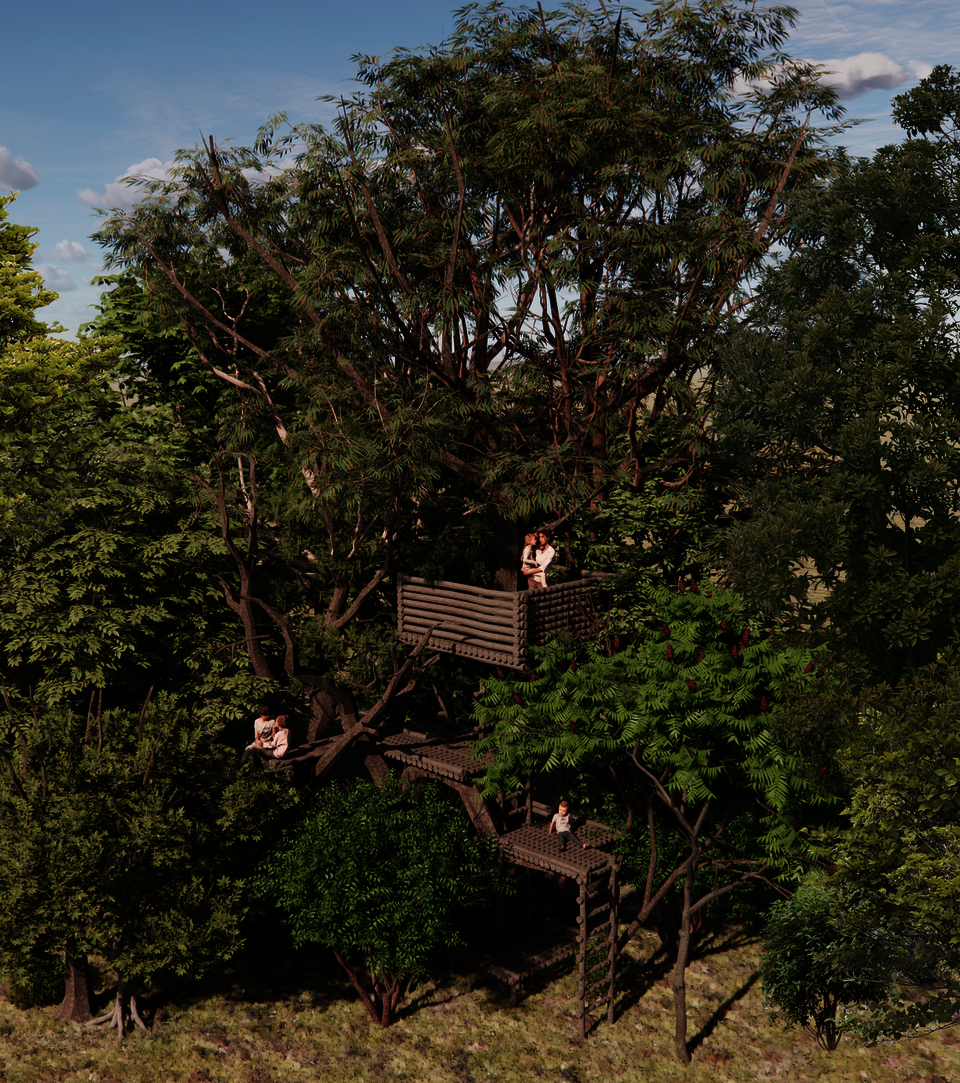 A treehouse serving as a platform for children's activities exhibits different appearances in different seasons.