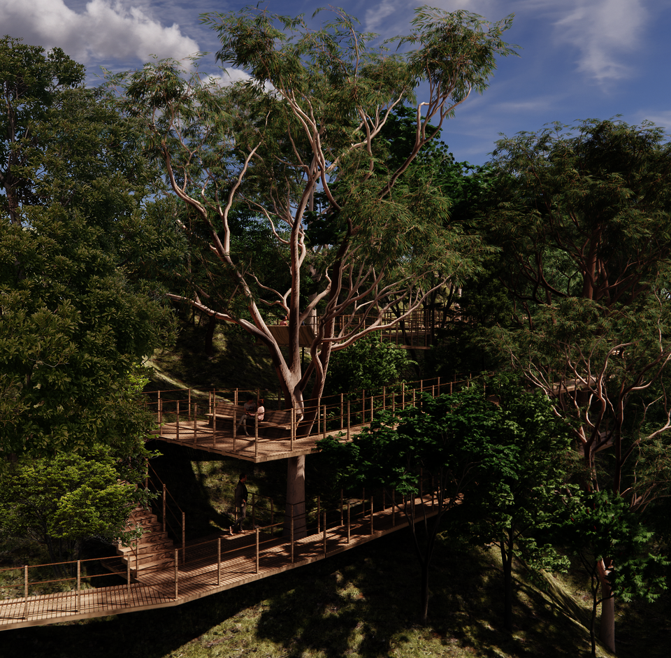 Pathways in the forest.