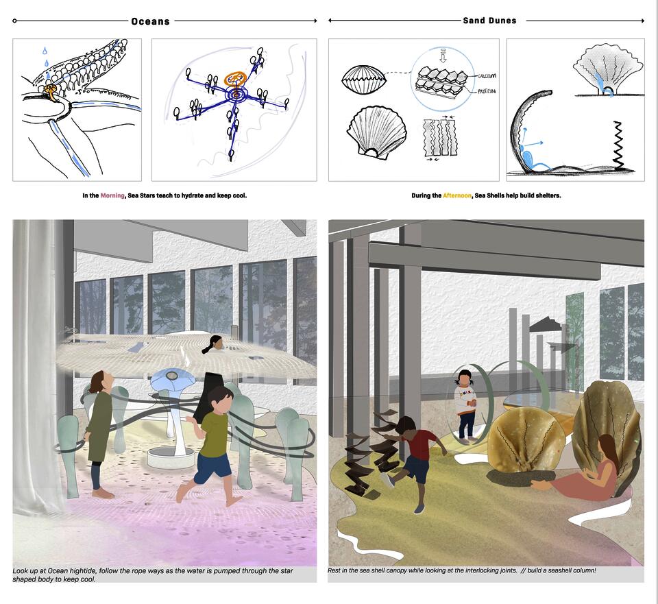 While navigating through the various zones, four concepts took shape translating- time of day, native ecosystems and their textural and materiality qualities and lastly, mimicing biomimcry actions corresponding to daily life survival tasks for the respective organisms in nature.