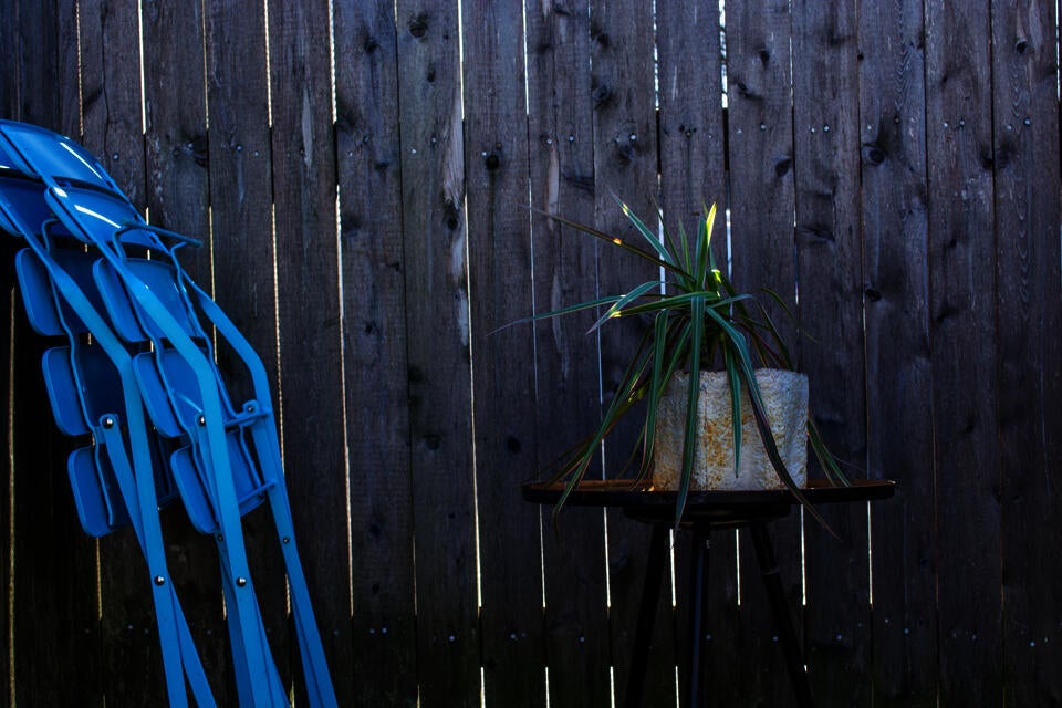 A mycelium-material planter with leaves in an outdoor garden setting 