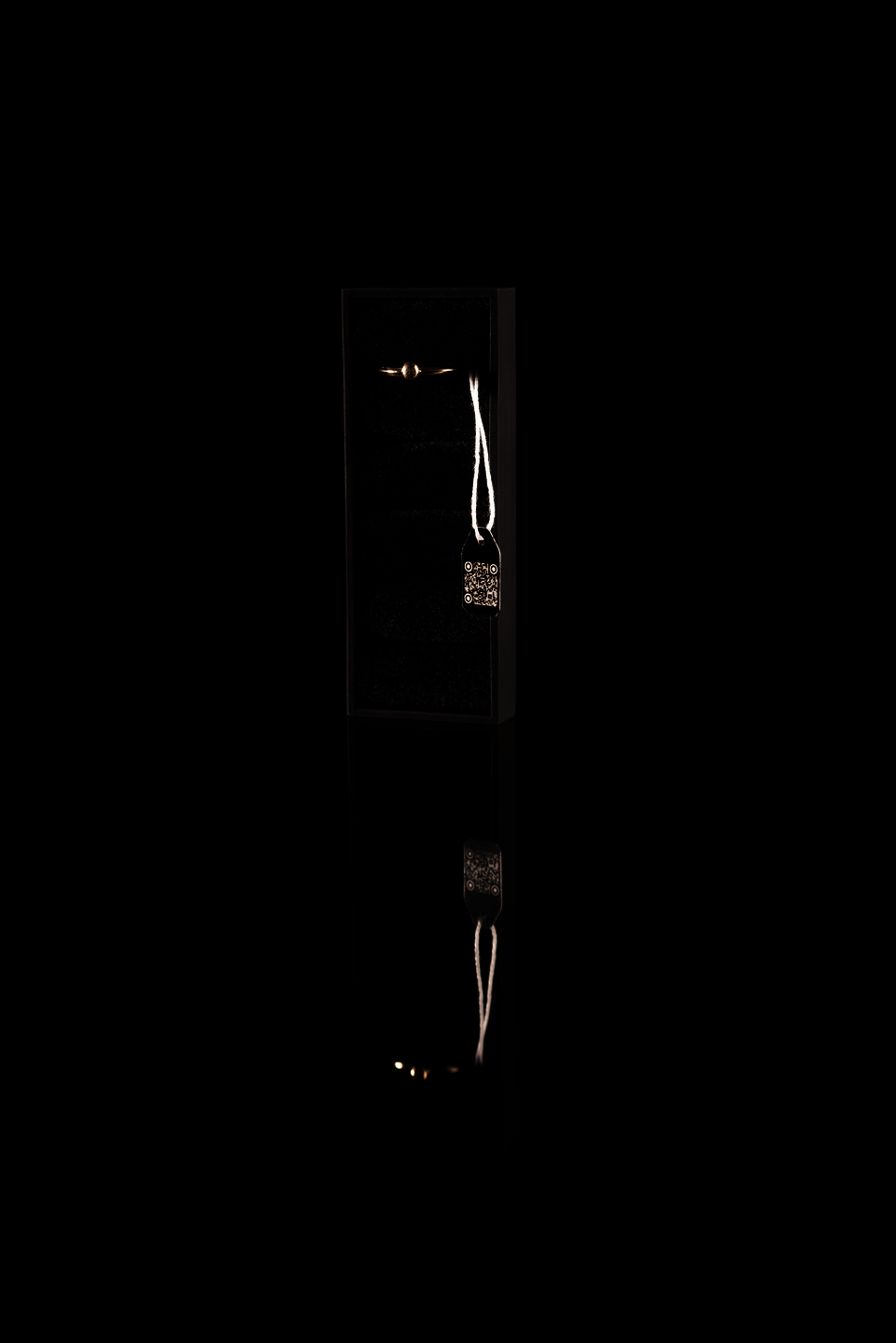 One of the vertical long brooch with gold ring standing.