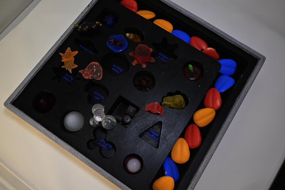 Inner packaging of pick-and-place objects and colored leaves.