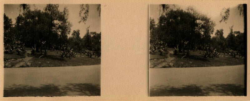 Two side-by-side images show the edges of a garden landscape.