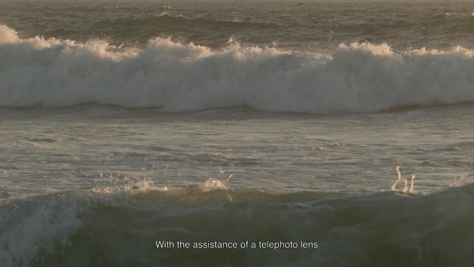 Waves