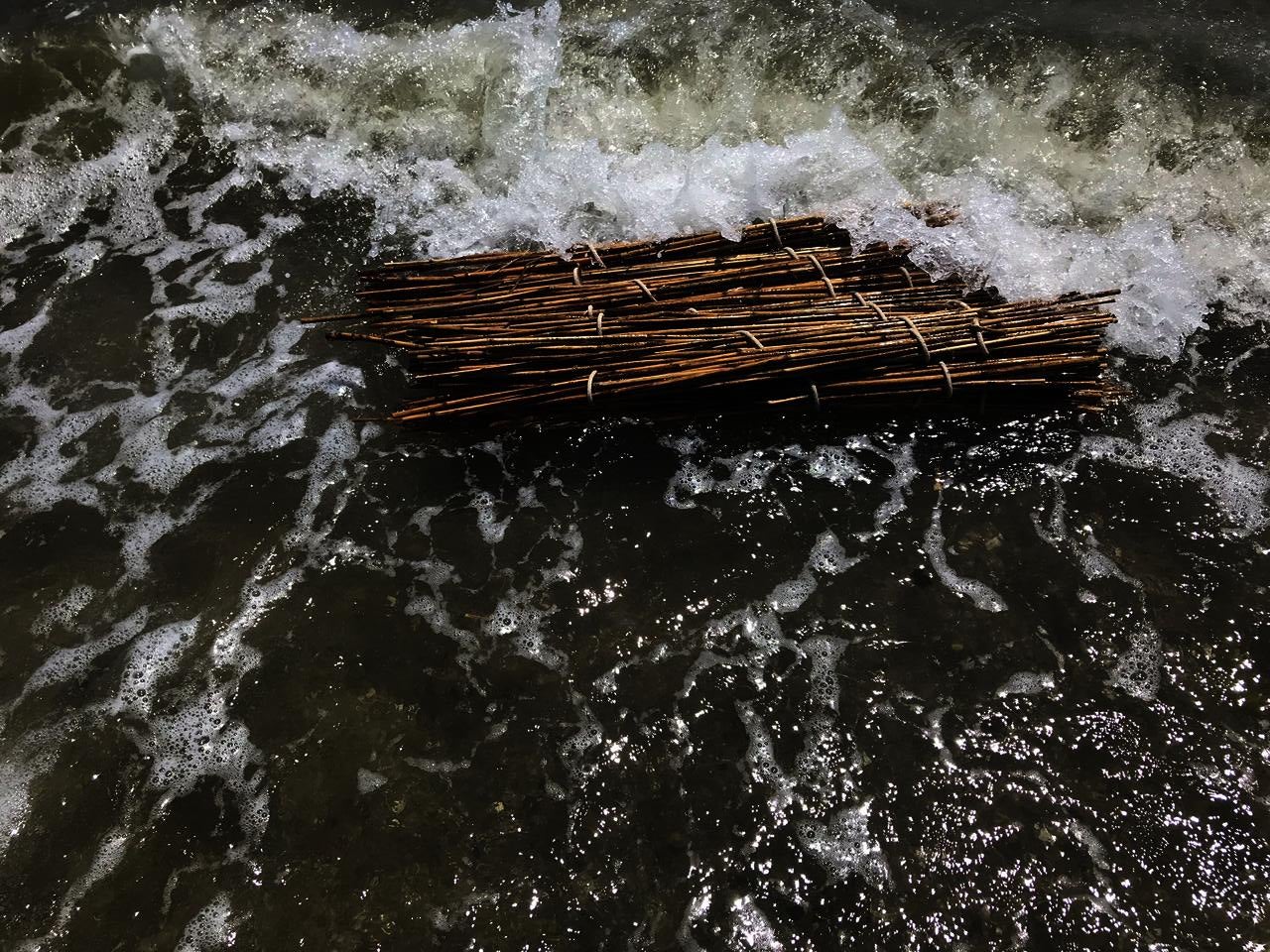 Image of bundle of phragmites in waves at a beach.