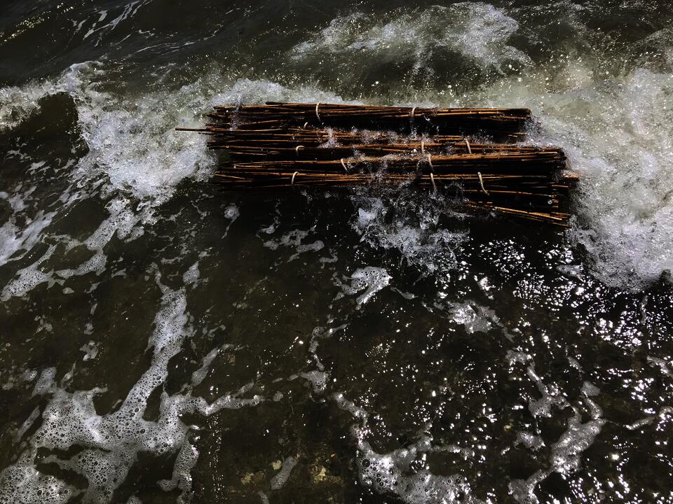 Phragmite bundles in the current.