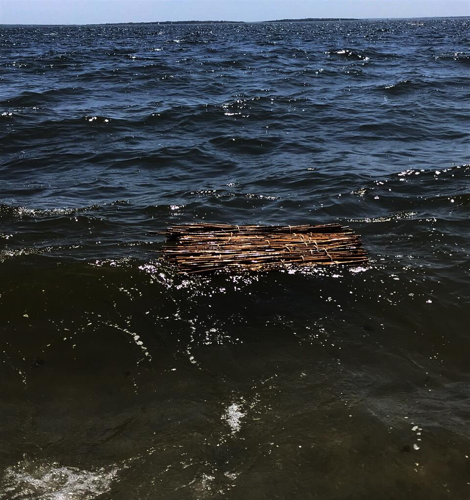 Phragmite bundles in the current.